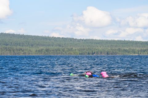 Kaksi uimaria Kitkajärvellä Kuusamossa